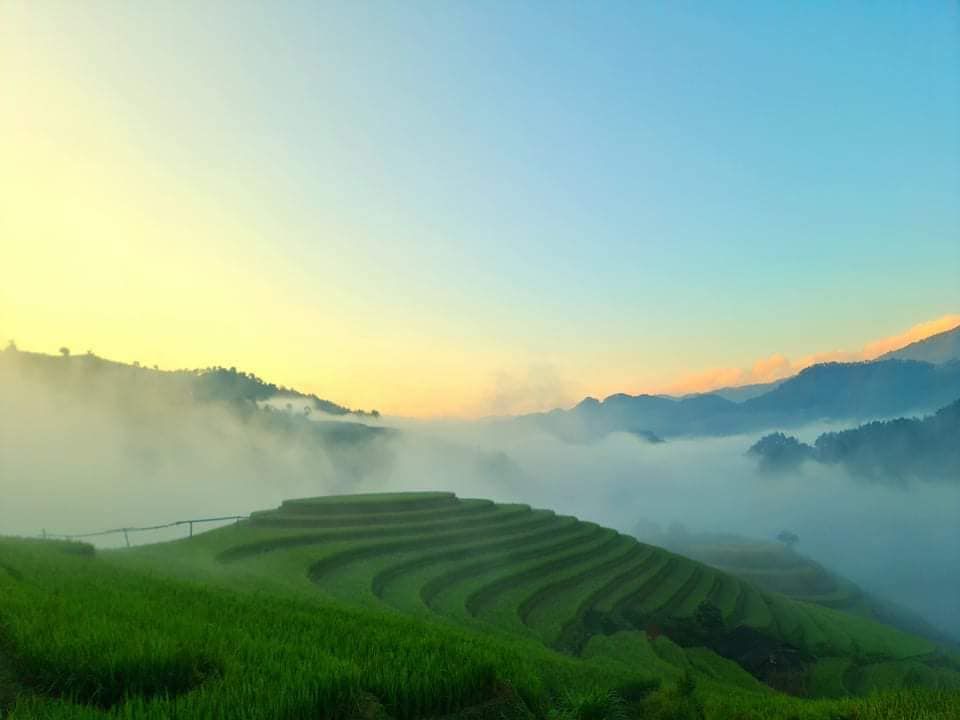 mu cang chai mam