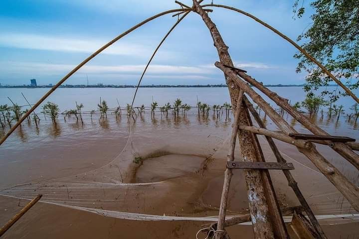 Ben Tre Con Phung 3