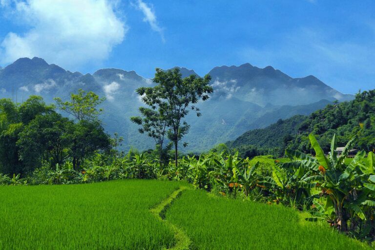 Mai Chau Hoa Binh