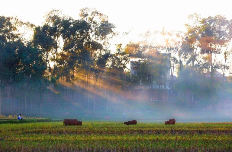 Bac Giang